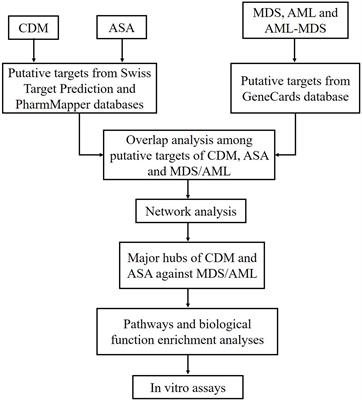 Network Pharmacology and Experimental Validation Reveal the Effects of Chidamide Combined With Aspirin on Acute Myeloid Leukemia-Myelodysplastic Syndrome Cells Through PI3K/AKT Pathway